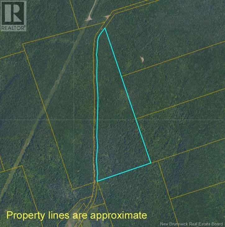 Lot Memel, Hopewell Hill, New Brunswick  E4H 3L4 - Photo 18 - NB121981