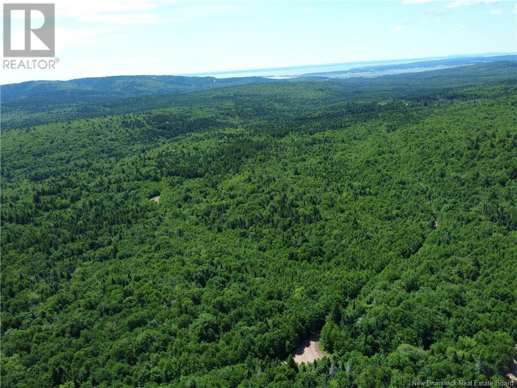 Lot Memel, Hopewell Hill, New Brunswick  E4H 3L4 - Photo 4 - NB121981