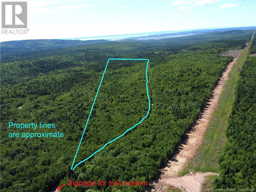 Lot Memel, Hopewell Hill, New Brunswick  E4H 3L4 - Photo 5 - NB121981