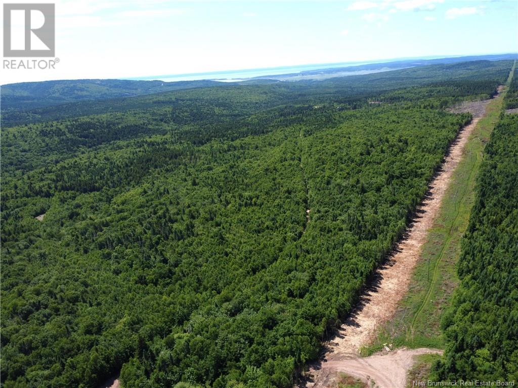 Lot Memel, Hopewell Hill, New Brunswick  E4H 3L4 - Photo 6 - NB121981