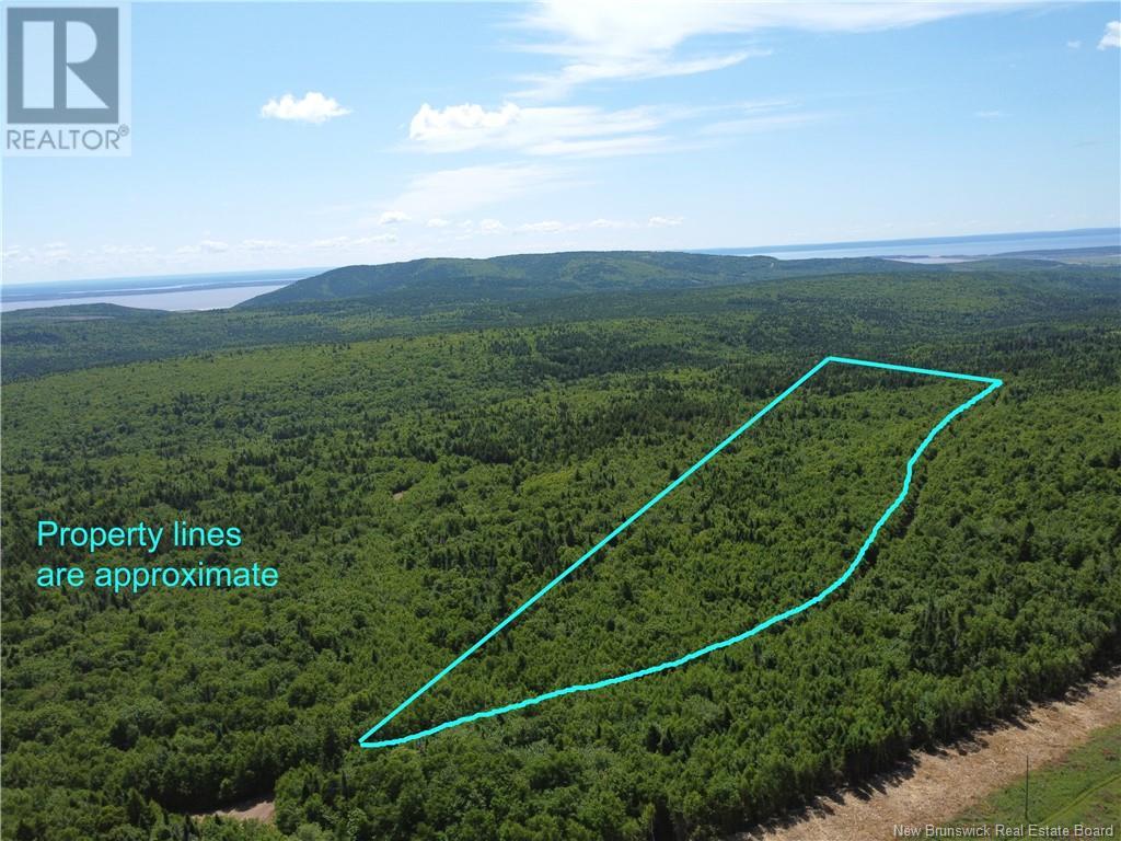 Lot Memel, Hopewell Hill, New Brunswick  E4H 3L4 - Photo 7 - NB121981