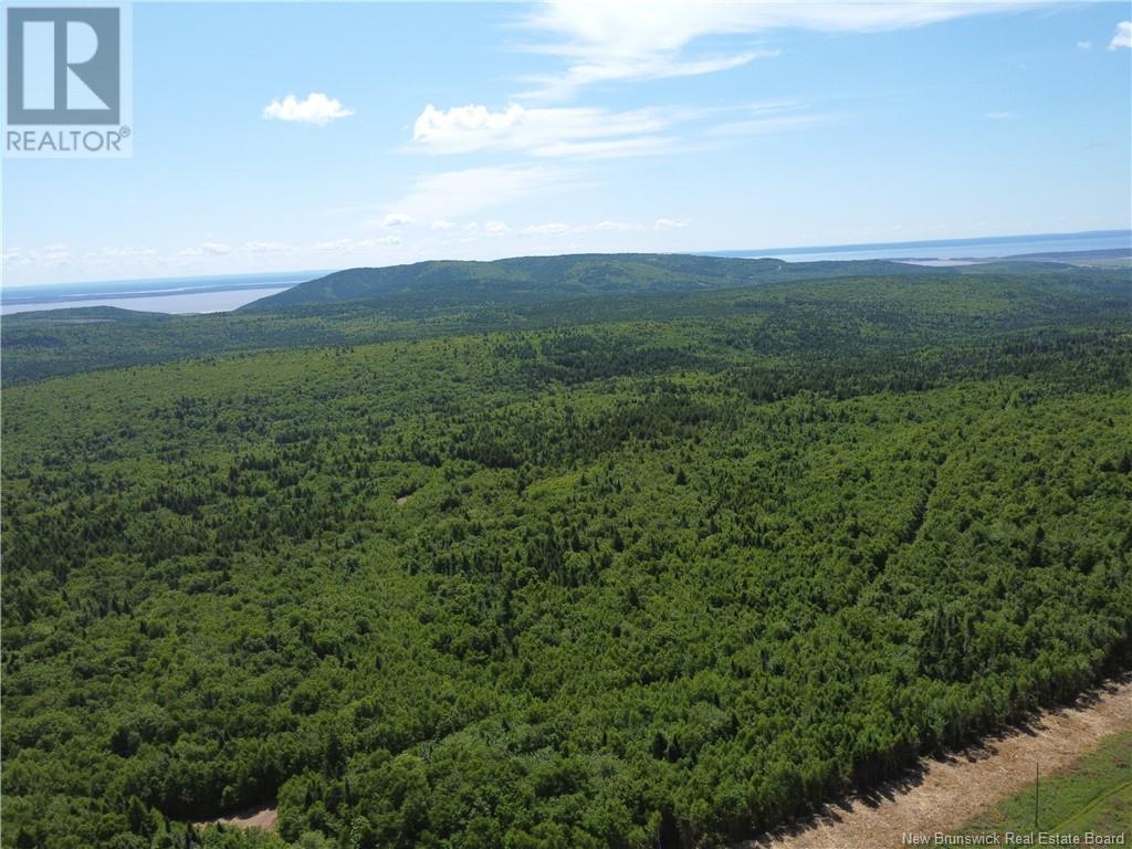 Lot Memel, Hopewell Hill, New Brunswick  E4H 3L4 - Photo 8 - NB121981