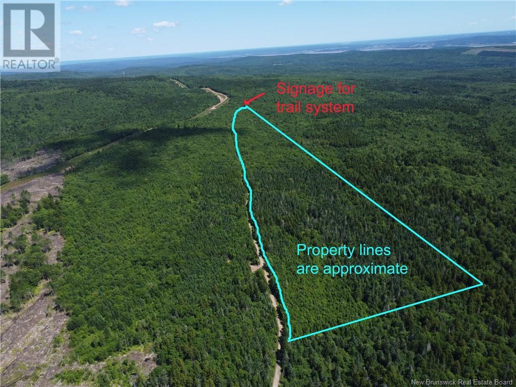 Lot Memel, Hopewell Hill, New Brunswick  E4H 3L4 - Photo 9 - NB121981