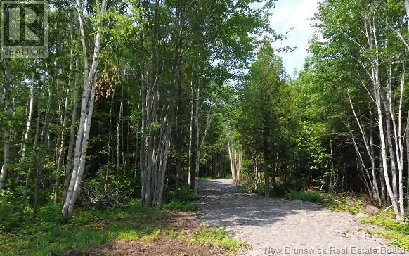 148 Rue Principale, Pointe-Verte, New Brunswick  E8J 2V8 - Photo 2 - NB122112