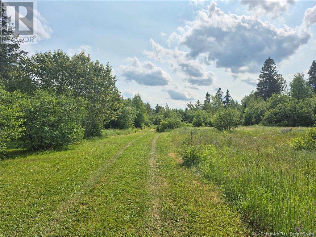 148 Rue Principale, Pointe-Verte, New Brunswick  E8J 2V8 - Photo 6 - NB122112