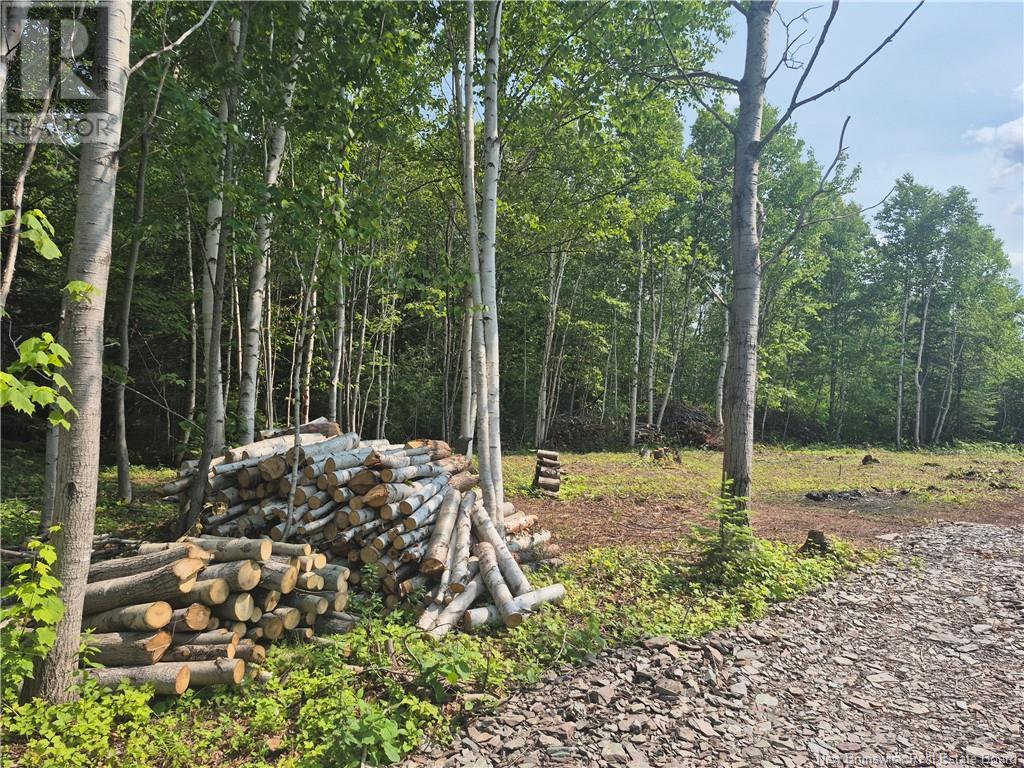 148 Rue Principale, Pointe-Verte, New Brunswick  E8J 2V8 - Photo 7 - NB122112