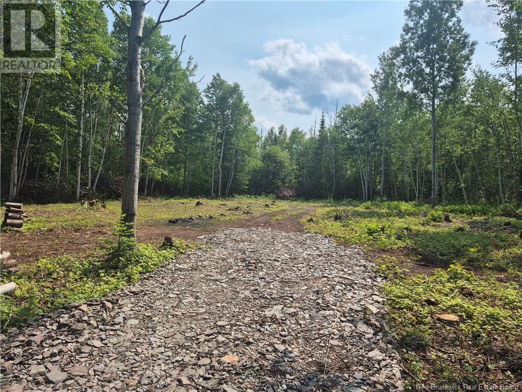 148 Rue Principale, Pointe-Verte, New Brunswick  E8J 2V8 - Photo 8 - NB122112