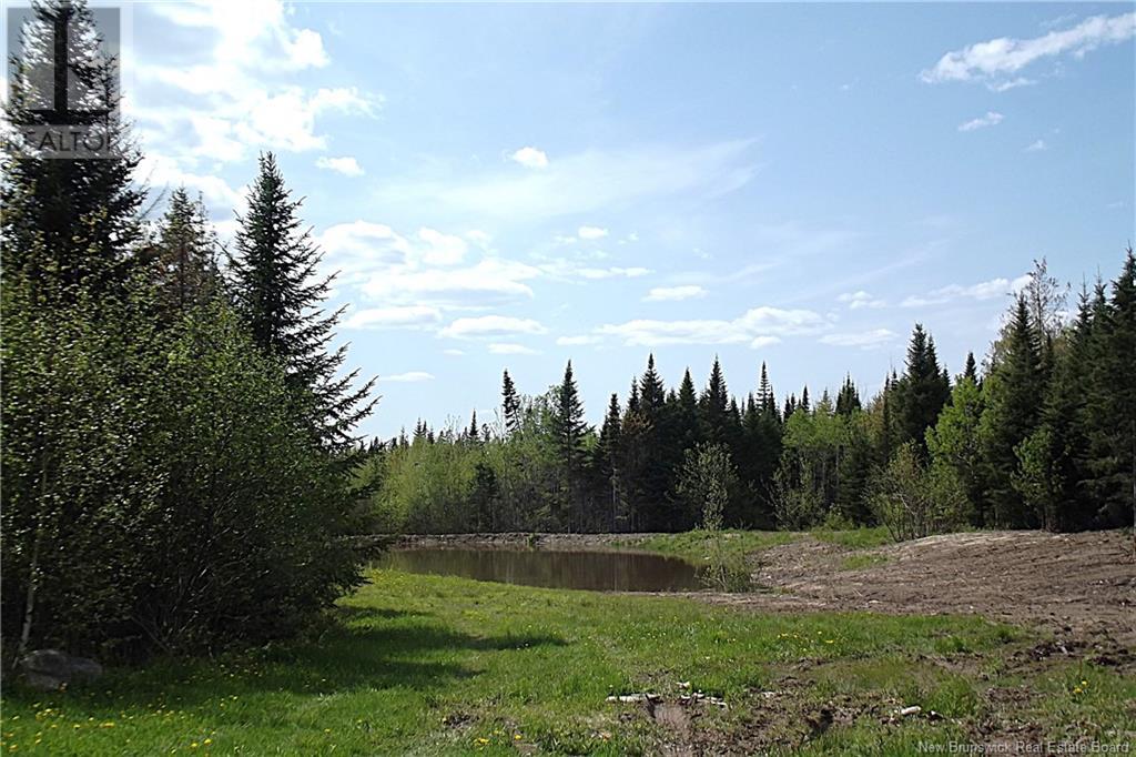 000 Kingsley Road, Estey's Bridge, New Brunswick  E3A 6G2 - Photo 13 - NB122179