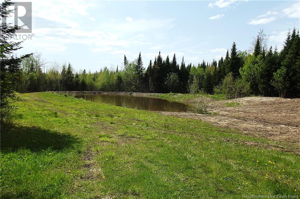 000 Kingsley Road, Estey's Bridge, New Brunswick  E3A 6G2 - Photo 14 - NB122179