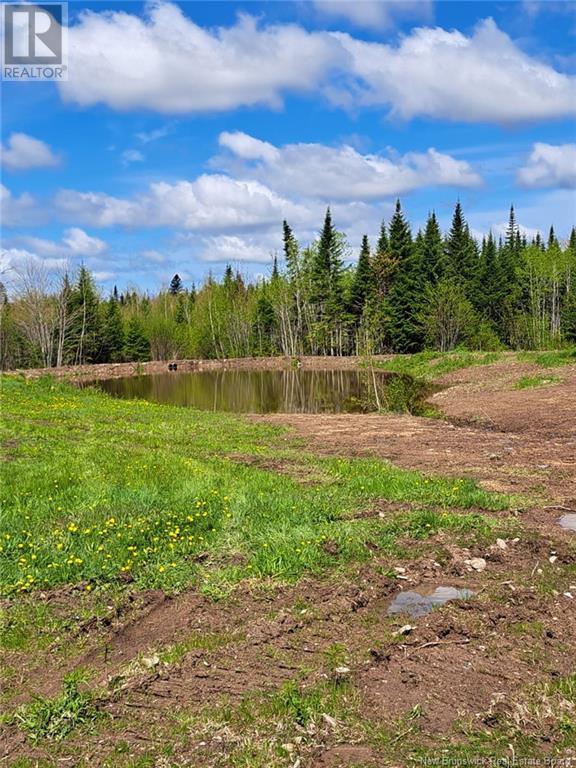 000 Kingsley Road, Estey's Bridge, New Brunswick  E3A 6G2 - Photo 17 - NB122179