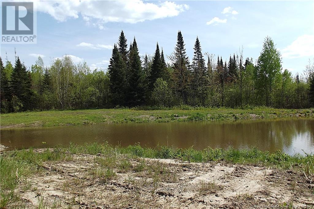000 Kingsley Road, Estey's Bridge, New Brunswick  E3A 6G2 - Photo 18 - NB122179
