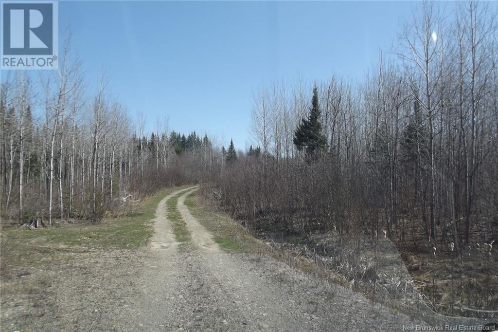 000 Kingsley Road, Estey's Bridge, New Brunswick  E3A 6G2 - Photo 22 - NB122179