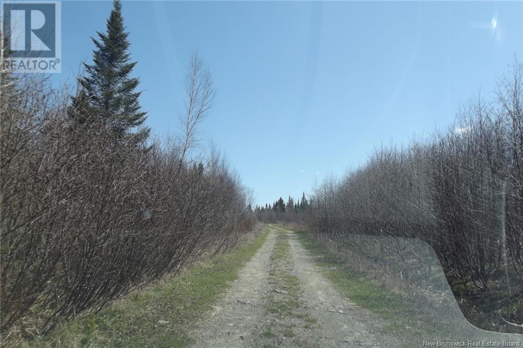 000 Kingsley Road, Estey's Bridge, New Brunswick  E3A 6G2 - Photo 23 - NB122179