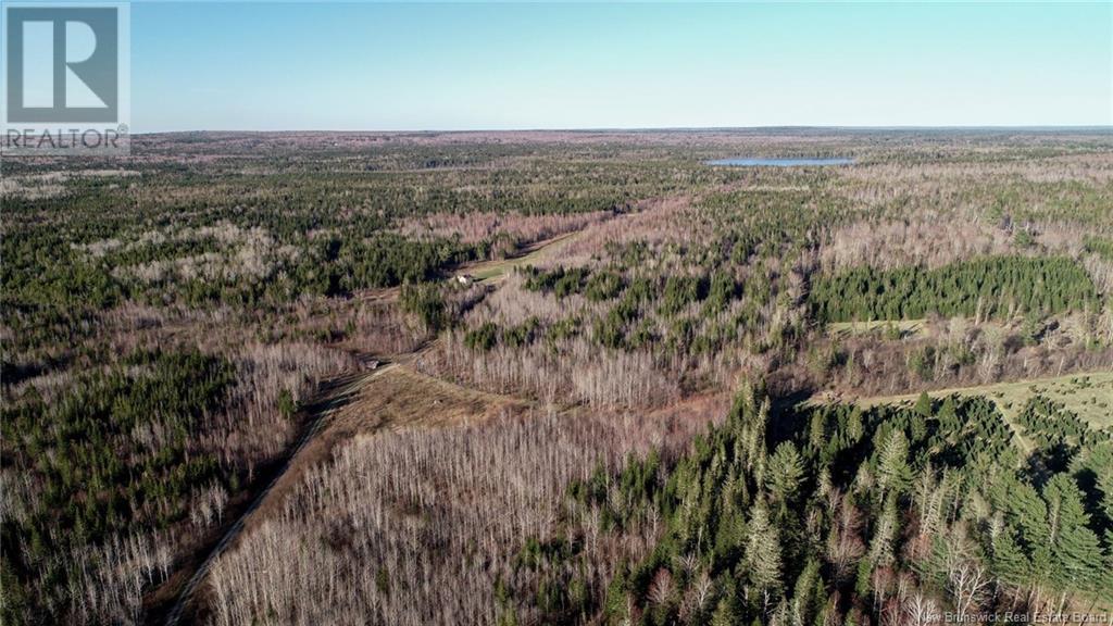 000 Kingsley Road, Estey's Bridge, New Brunswick  E3A 6G2 - Photo 36 - NB122179