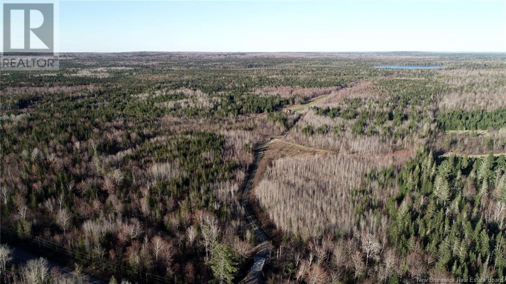 000 Kingsley Road, Estey's Bridge, New Brunswick  E3A 6G2 - Photo 38 - NB122179