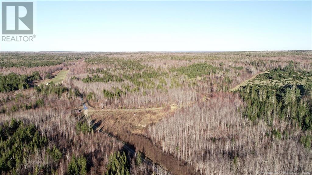 000 Kingsley Road, Estey's Bridge, New Brunswick  E3A 6G2 - Photo 42 - NB122179