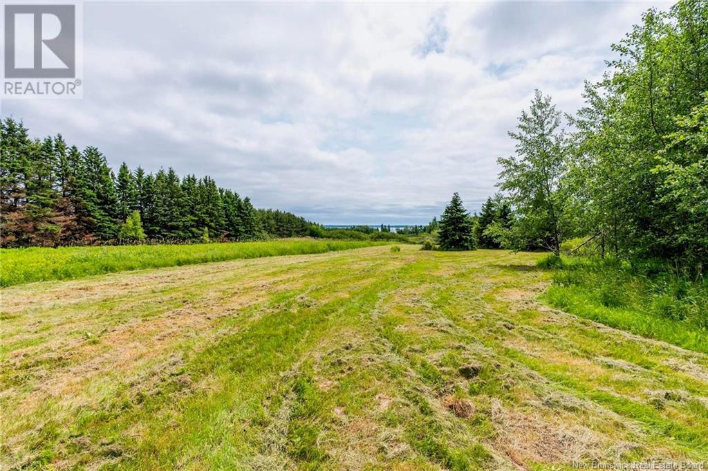 2041 Route 960, Upper Cape, New Brunswick  E4L 1X7 - Photo 45 - NB122083
