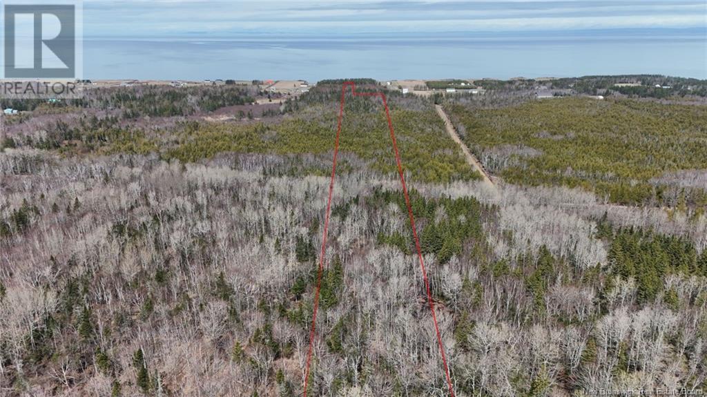 Lot 1 Route 11, Pokeshaw, New Brunswick