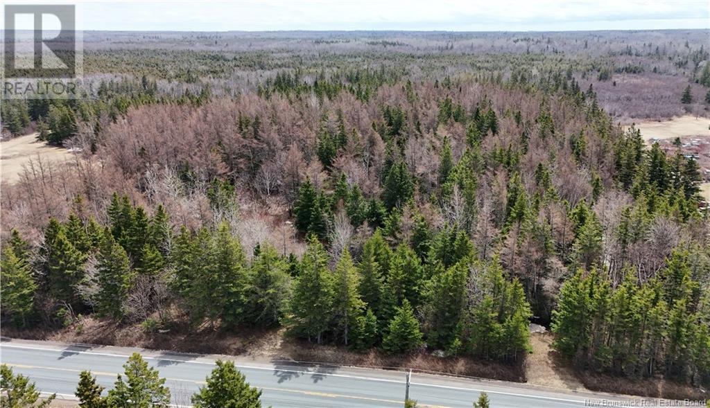 Lot 1 Route 11, Pokeshaw, New Brunswick  E2A 5R9 - Photo 2 - NB122187