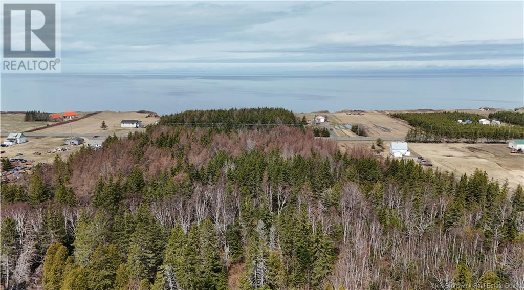 Lot 1 Route 11, Pokeshaw, New Brunswick  E2A 5R9 - Photo 3 - NB122187