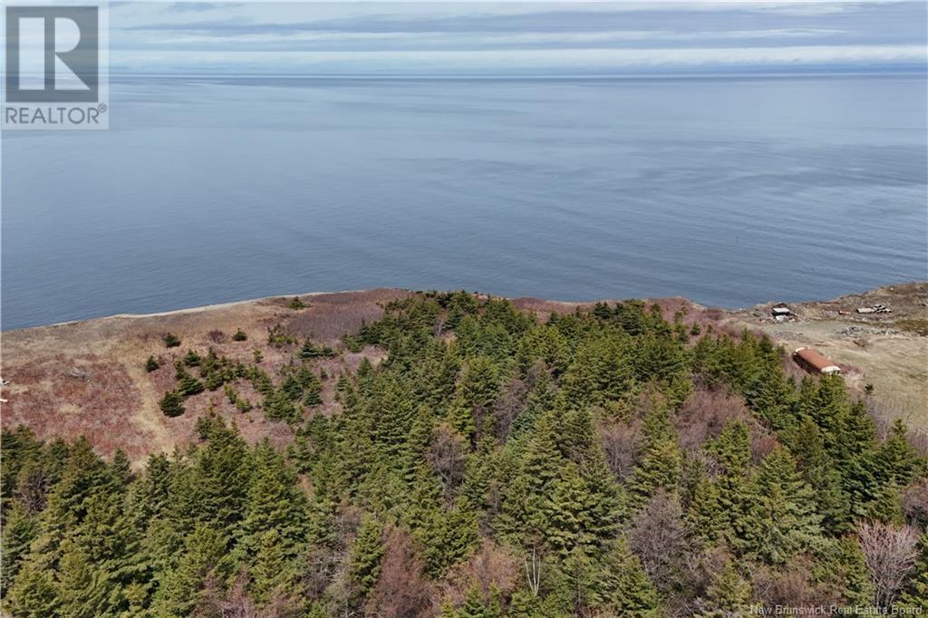 Lot 2 Route 11, Pokeshaw, New Brunswick  E2A 5R9 - Photo 2 - NB122158
