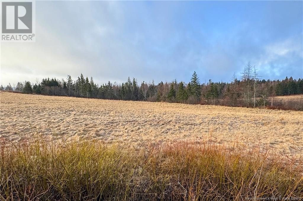 Lot 24-2 Fairfield Road, Sackville, New Brunswick  E4L 2X8 - Photo 3 - NB122204