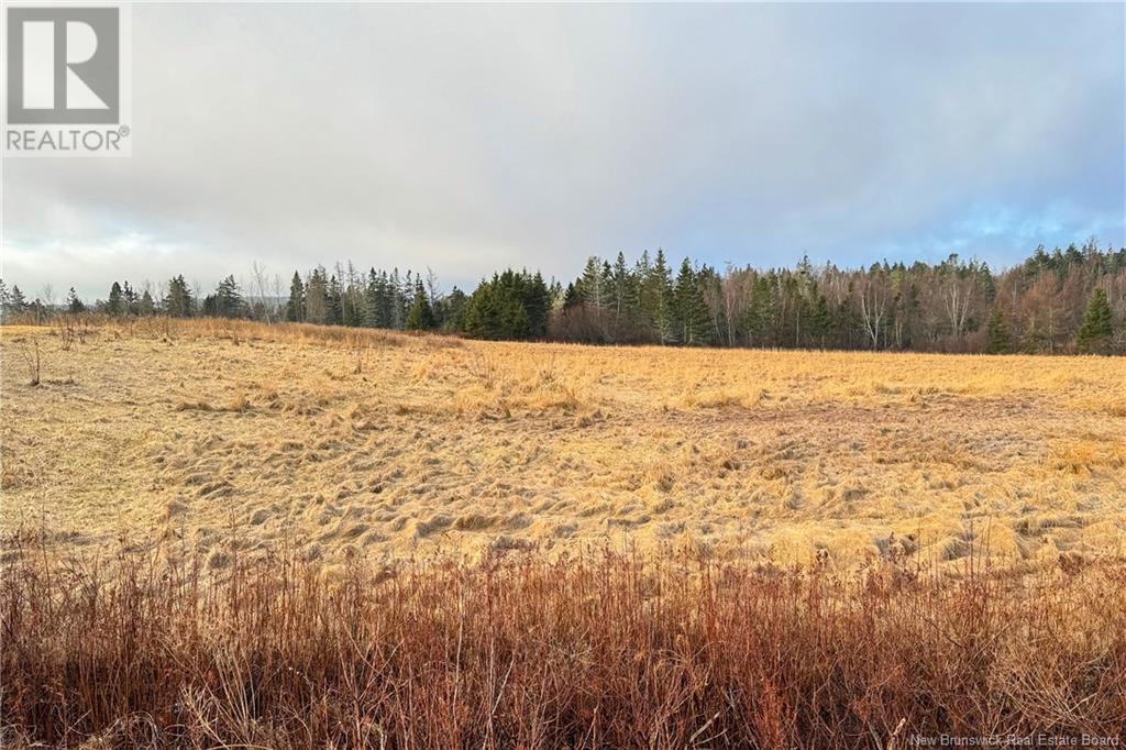 Lot 24-1 Fairfield Road, Sackville, New Brunswick  E4L 2X8 - Photo 5 - NB122203