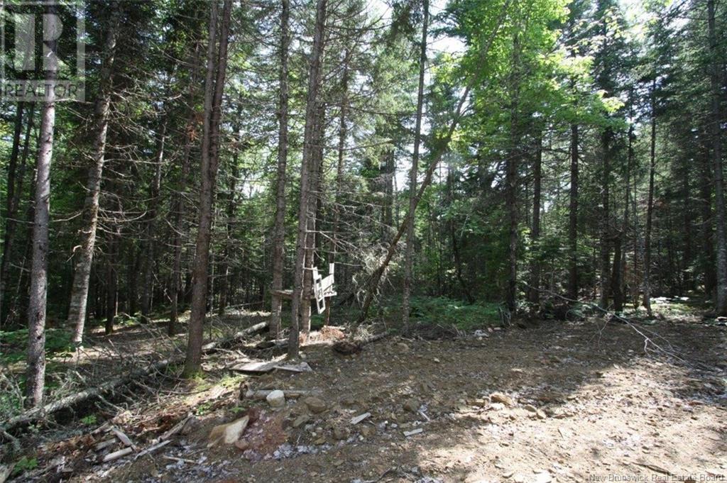 916 Storeytown Road, Doaktown, New Brunswick  E9C 1Z3 - Photo 10 - NB122220