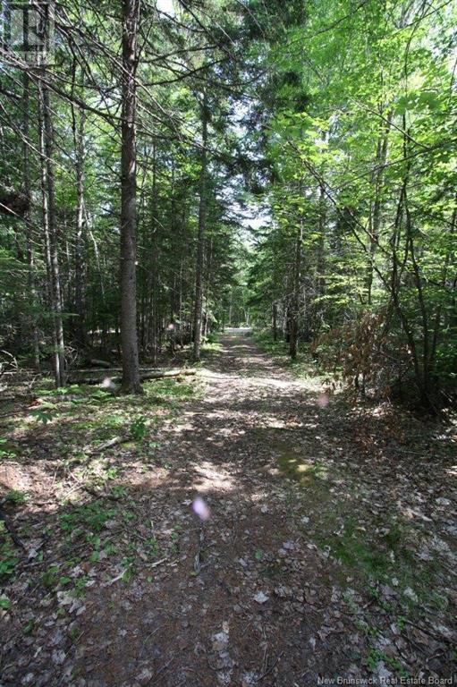 916 Storeytown Road, Doaktown, New Brunswick  E9C 1Z3 - Photo 9 - NB122220