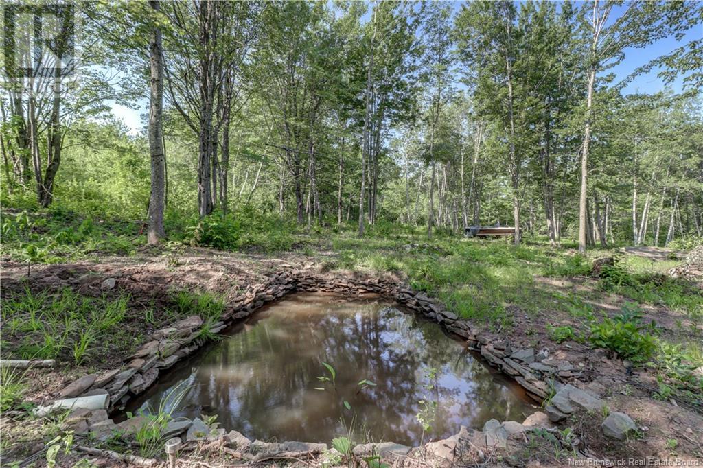 5342 Route 105, Whites Cove, New Brunswick  E4C 3H6 - Photo 36 - NB122237