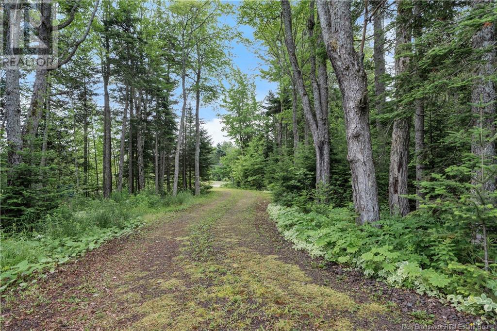 3199 Route 132, Scoudouc, New Brunswick  E4P 3S6 - Photo 12 - NB122236