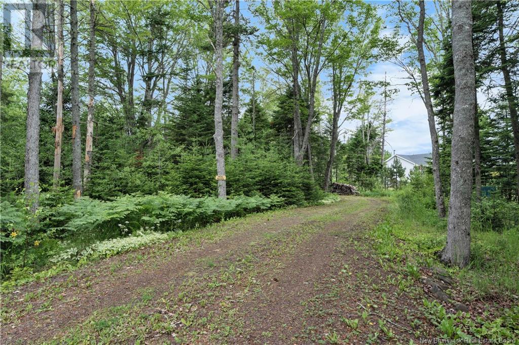 3199 Route 132, Scoudouc, New Brunswick  E4P 3S6 - Photo 3 - NB122236