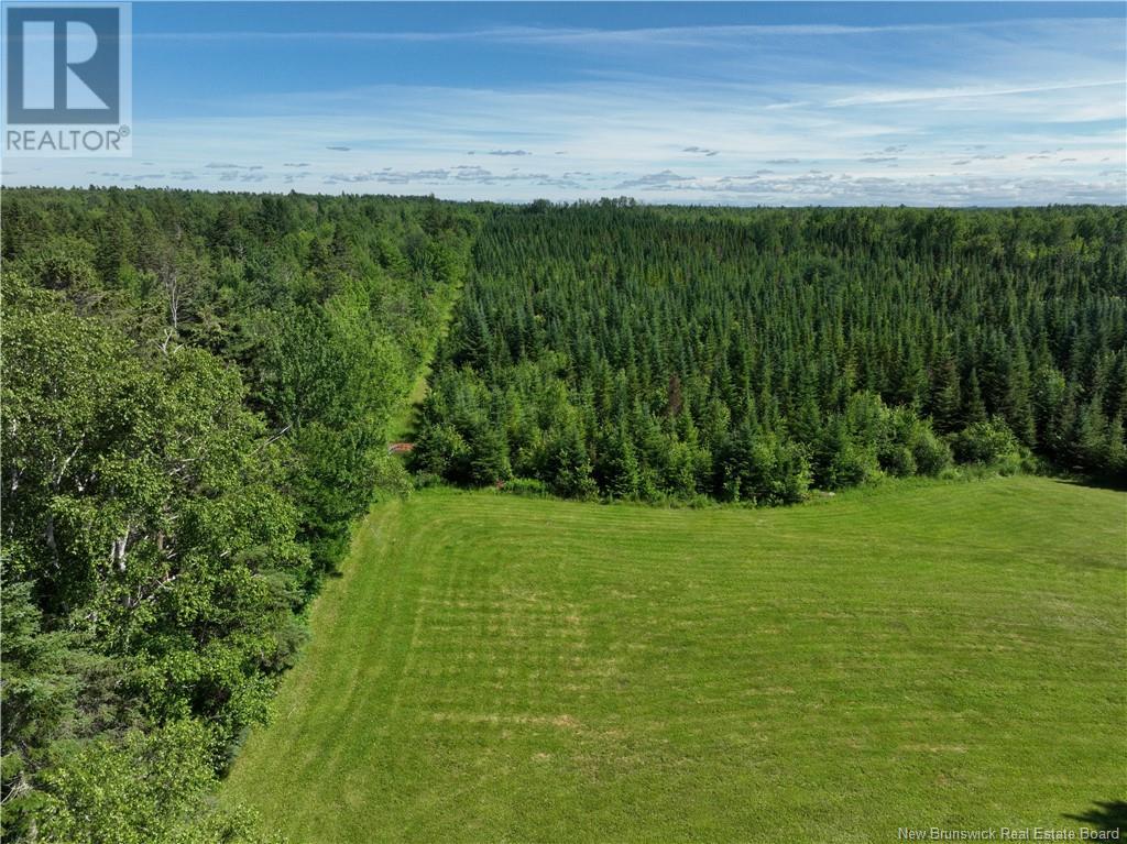 240 Craigville Road, Miramichi, New Brunswick  E1N 4T1 - Photo 4 - NB122255