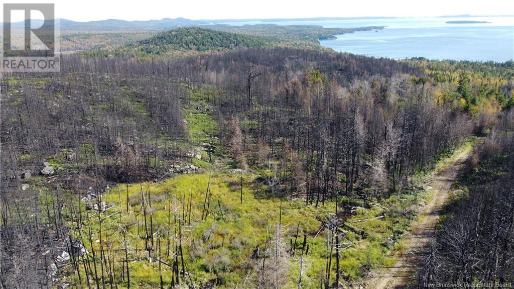 Lot 4 Route 127, Bocabec, New Brunswick  E5B 3H4 - Photo 13 - NB122152