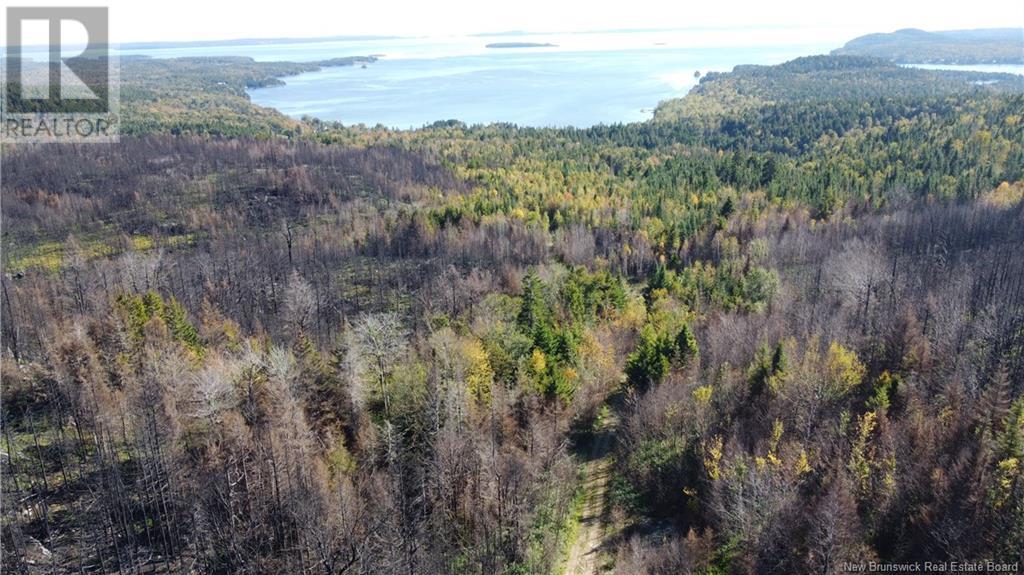 Lot 4 Route 127, Bocabec, New Brunswick  E5B 3H4 - Photo 15 - NB122152