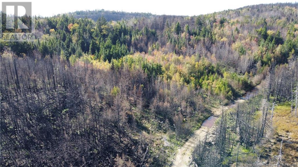 Lot 4 Route 127, Bocabec, New Brunswick  E5B 3H4 - Photo 16 - NB122152