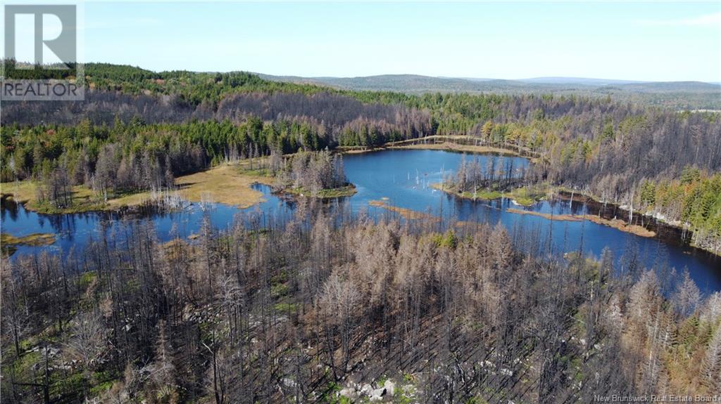 Lot 4 Route 127, Bocabec, New Brunswick  E5B 3H4 - Photo 17 - NB122152