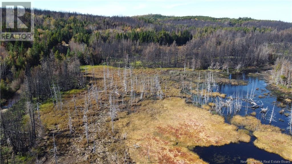 Lot 4 Route 127, Bocabec, New Brunswick  E5B 3H4 - Photo 18 - NB122152