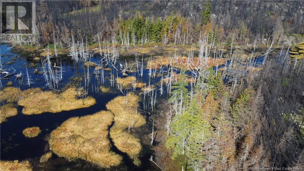 Lot 4 Route 127, Bocabec, New Brunswick  E5B 3H4 - Photo 19 - NB122152