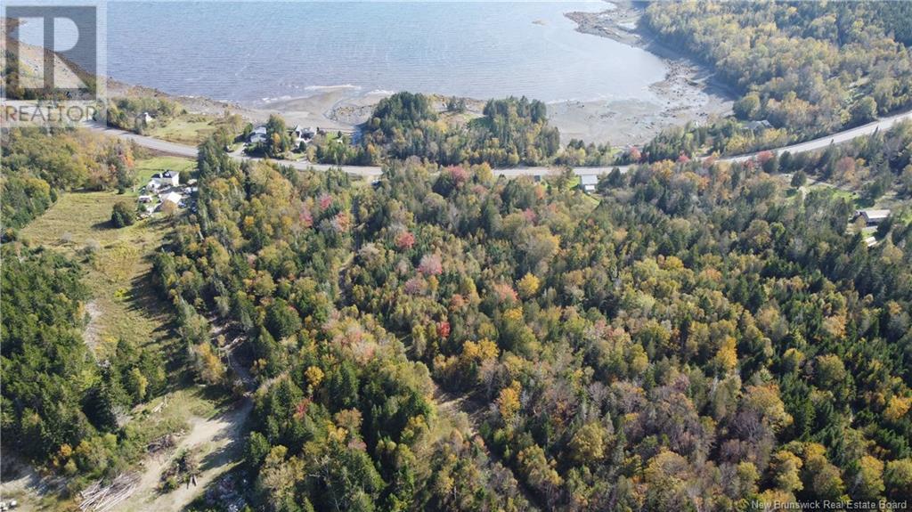 Lot 4 Route 127, Bocabec, New Brunswick  E5B 3H4 - Photo 6 - NB122152