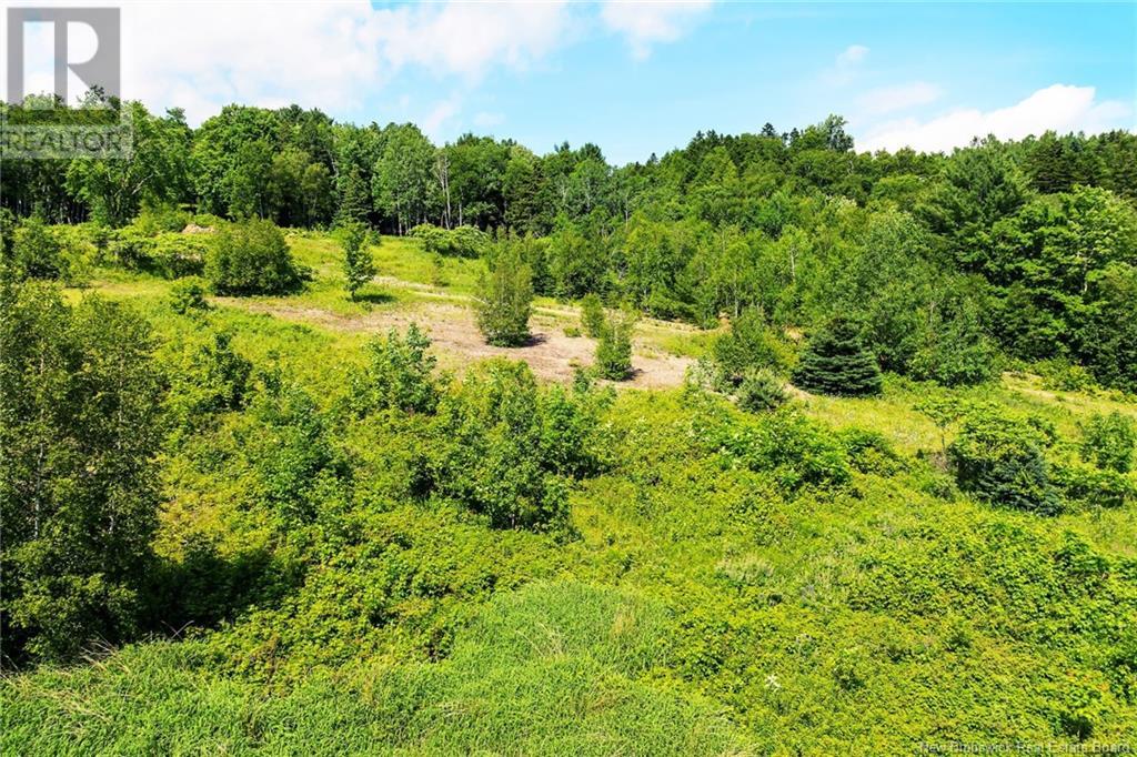 Lot Grand Pass Court, Douglas, New Brunswick  O0O 0O0 - Photo 12 - NB122267