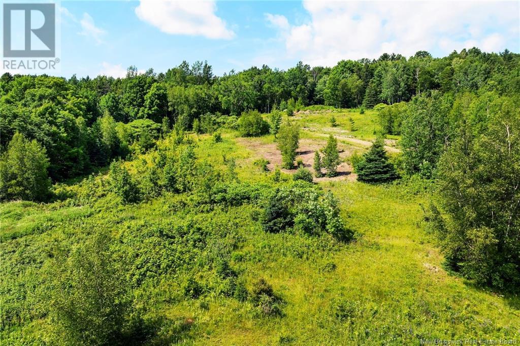 Lot Grand Pass Court, Douglas, New Brunswick  O0O 0O0 - Photo 13 - NB122267