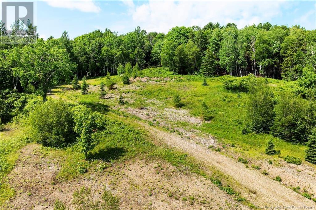 Lot Grand Pass Court, Douglas, New Brunswick  O0O 0O0 - Photo 14 - NB122267