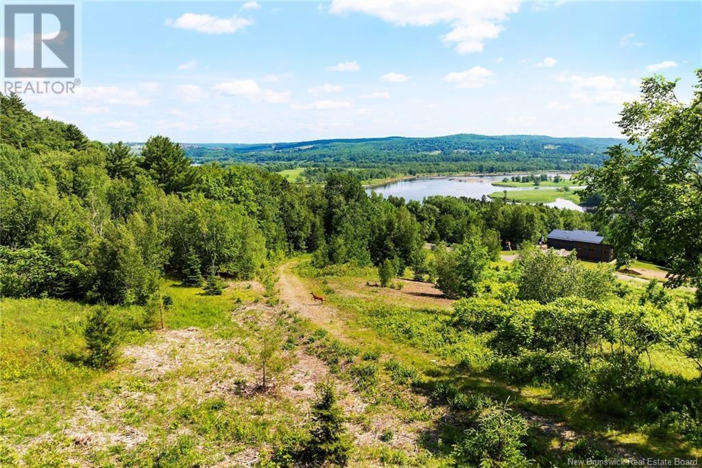 Lot Grand Pass Court, Douglas, New Brunswick  O0O 0O0 - Photo 16 - NB122267