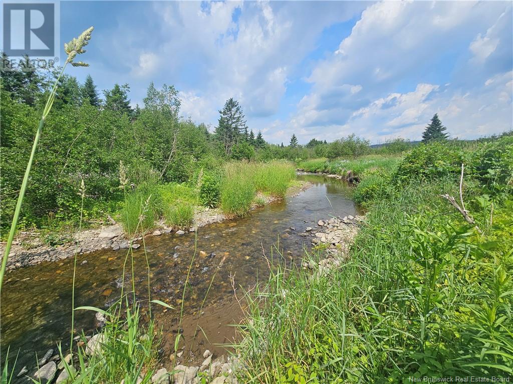 130 King Kristian Road, New Denmark, New Brunswick  E7G 1X7 - Photo 5 - NB122293