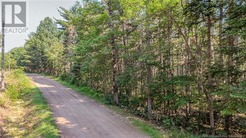 Lot Owl Cove Lane, Wickham, New Brunswick  E5T 0E1 - Photo 3 - NB122334