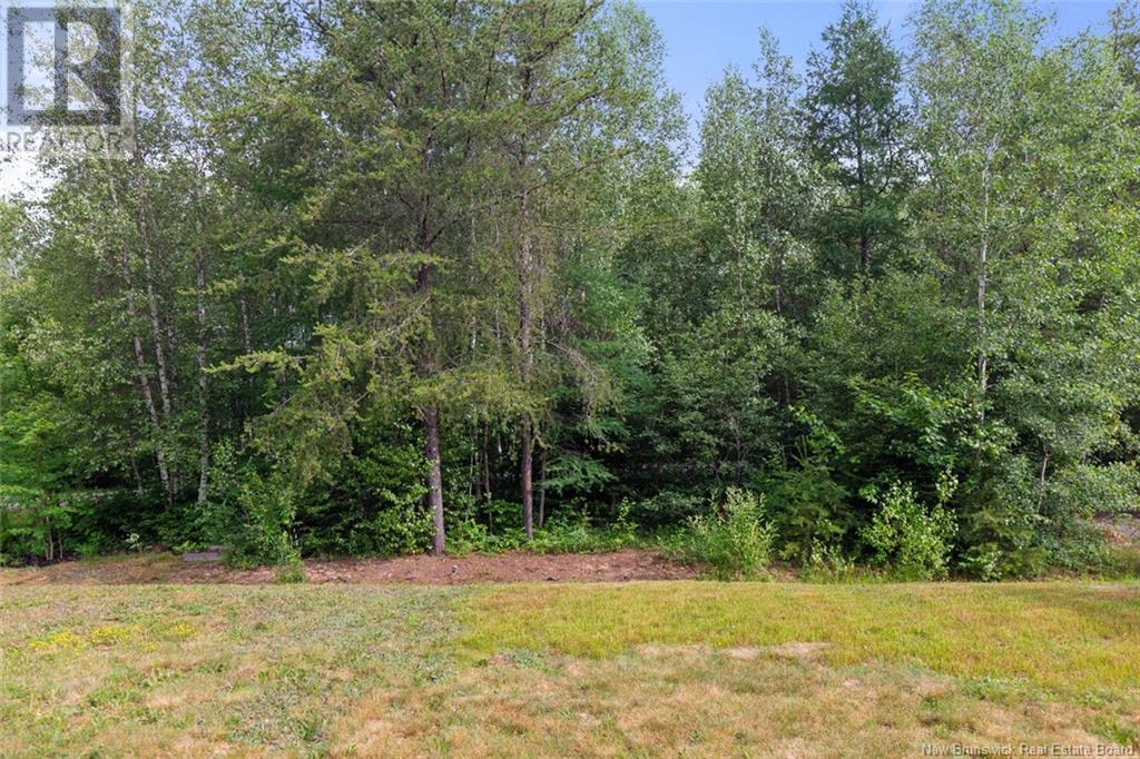 351 Dolbeau Street, Dieppe, New Brunswick  E1A 4H8 - Photo 39 - NB122356