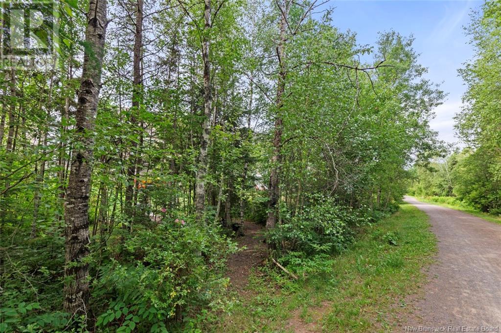 351 Dolbeau Street, Dieppe, New Brunswick  E1A 4H8 - Photo 40 - NB122356
