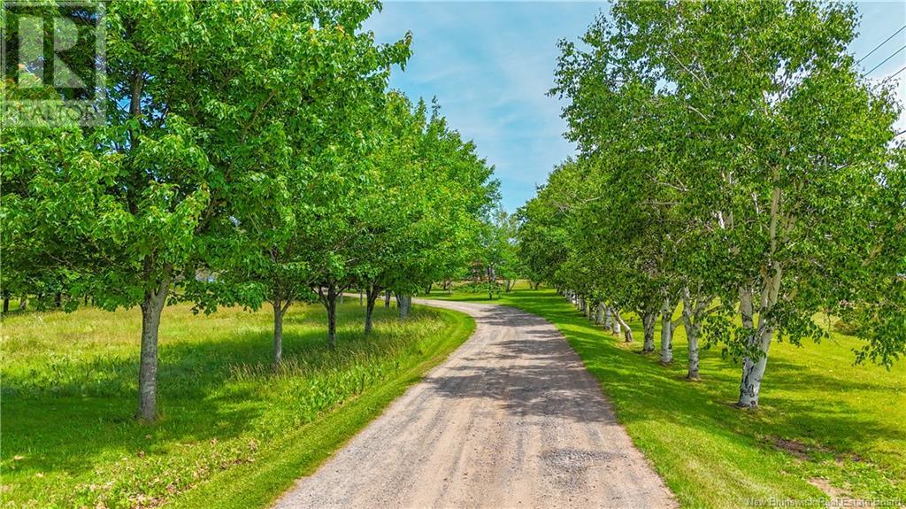 703 113 Route, Inkerman, New Brunswick  E8P 1B3 - Photo 39 - NB122373