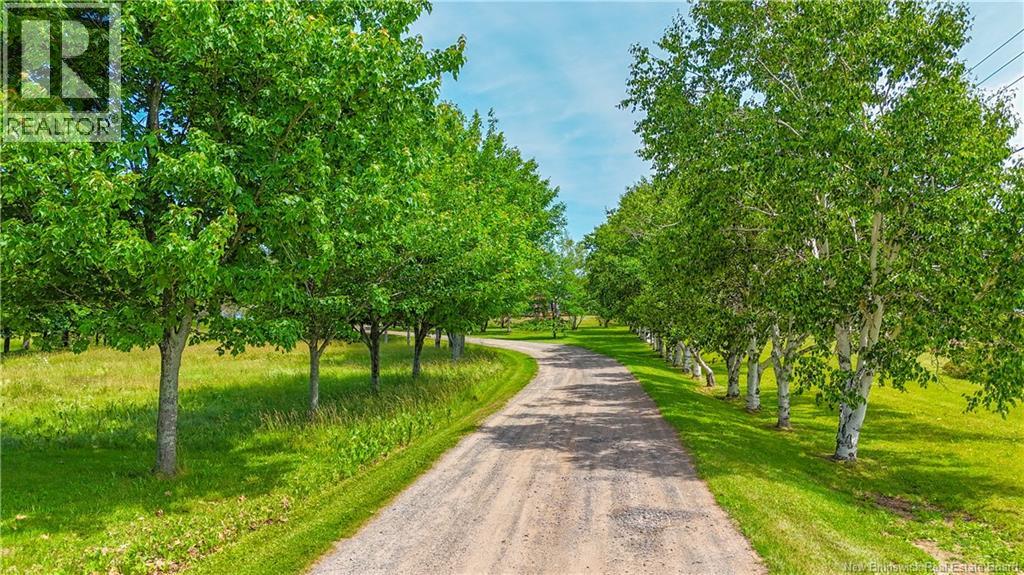 703 113 Route, Inkerman, New Brunswick  E8P 1B3 - Photo 41 - NB122373